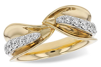 C293-10333: LDS DIA RG .50 TW